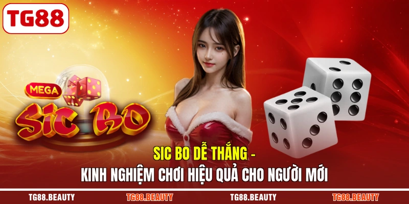 Sic Bo Dễ Thắng | Kinh Nghiệm Chơi Hiệu Quả Cho Người Mới
